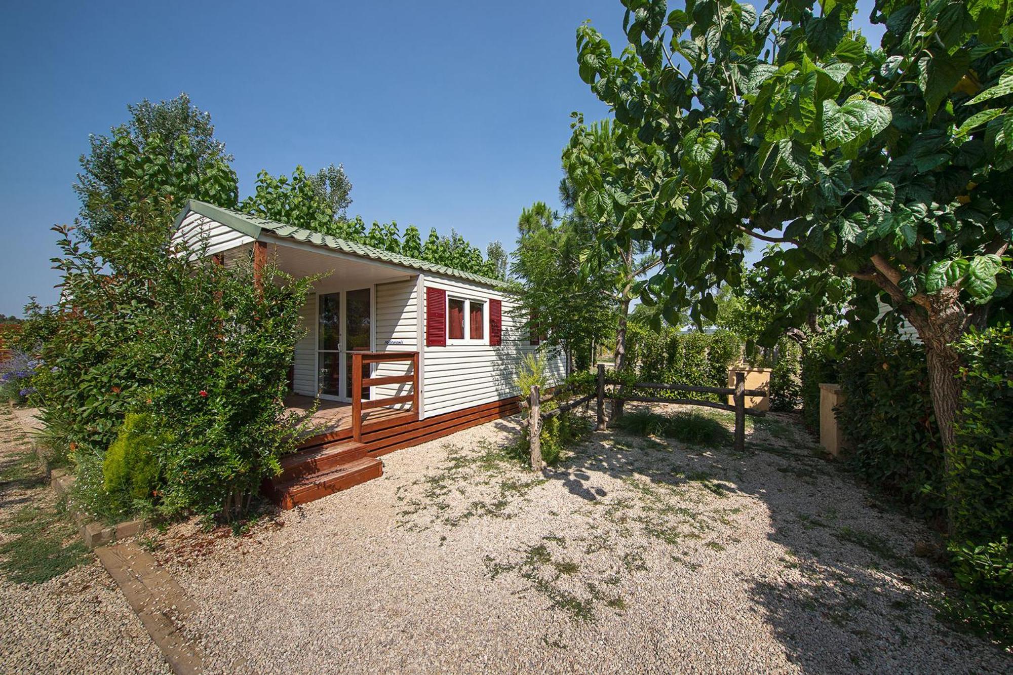 Camping Els Ports 2*