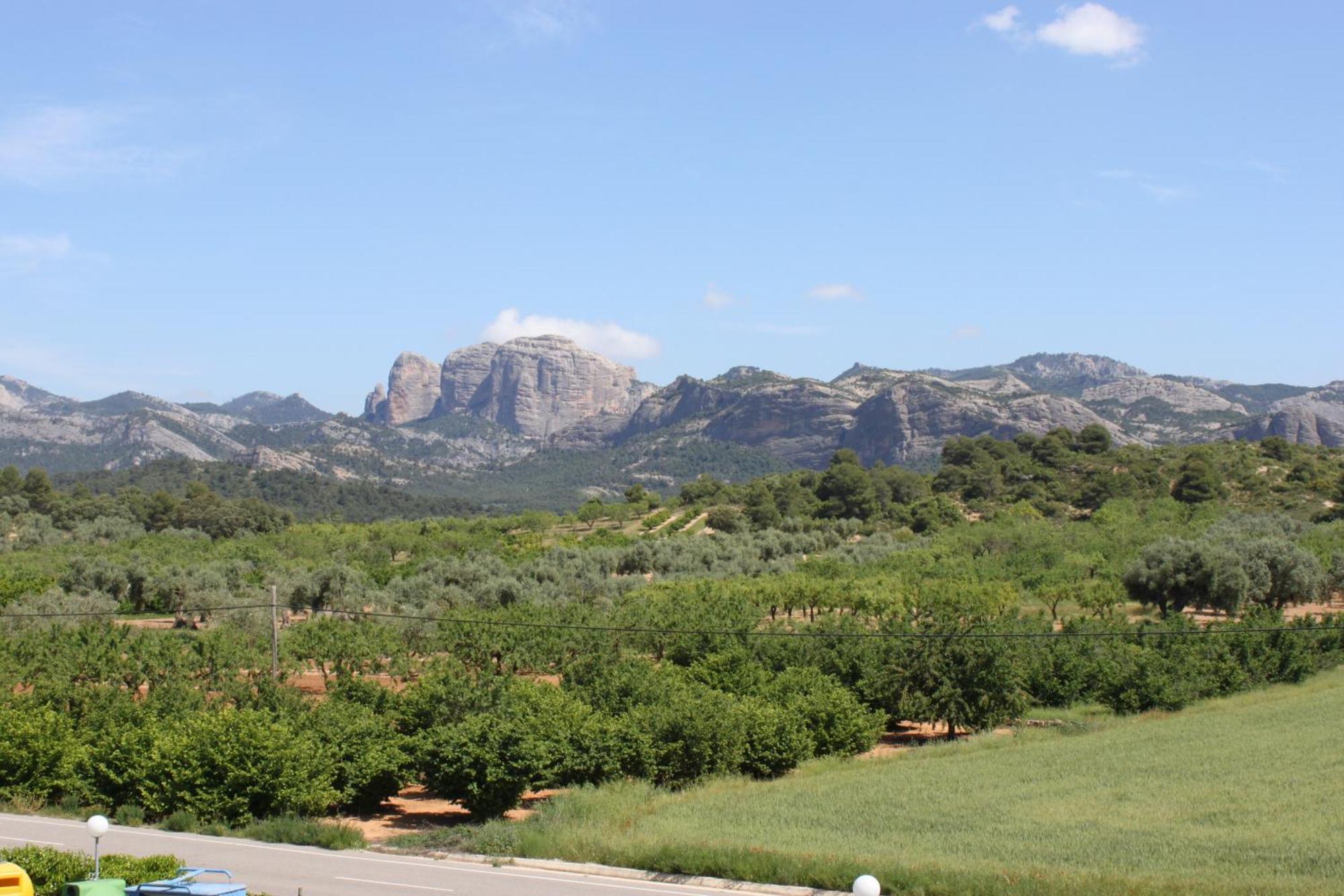 Camping Els Ports 2*