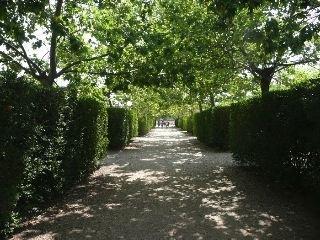 Els Ports 2* Arnes